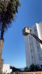 Arriendo de maquinarias, Puchuncavi, Valparaíso - Servicios A&C